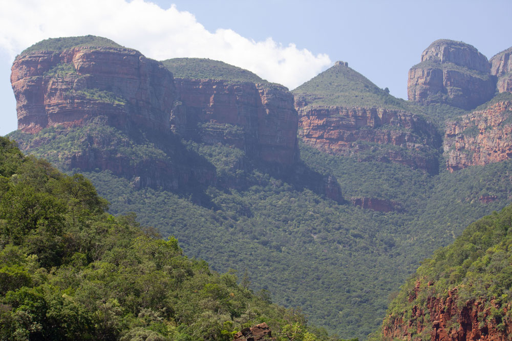 bushbaby travel